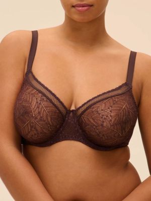 Comète beugelbh DARK BROWN