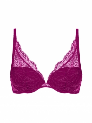 Exotica push-up bh FRAMBOOS