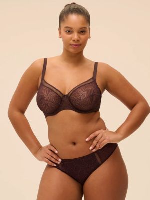 Comète slip DARK BROWN