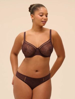 Comète slip DARK BROWN