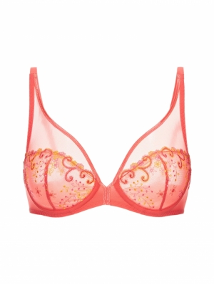 Délice beugelbh MANGO