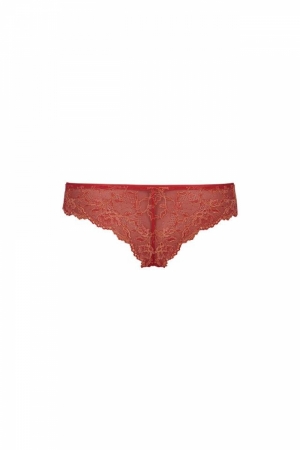 Colette shorty FLAME
