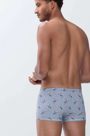 Hawston short TROPICAL BLUE