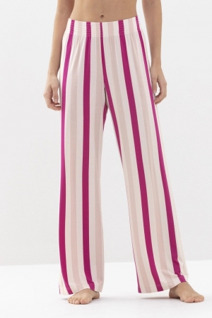  COSMO PINK