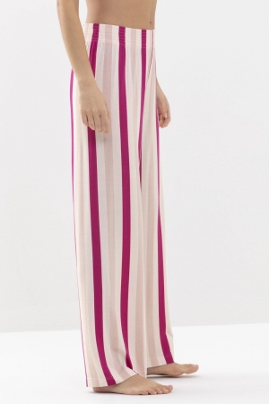  COSMO PINK