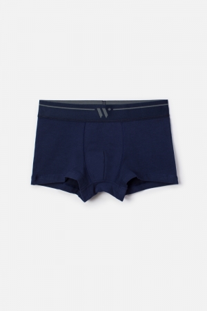 Boxershorts Mammoet 2-pack BLAUW