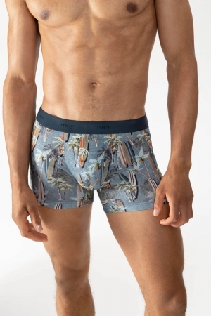 Long boxershort Surfer Paradis STONE