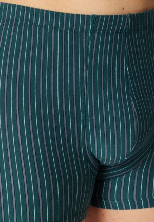 Short 3-pack Organic Cotton NAVY