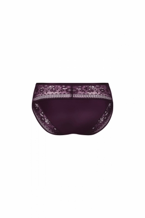 Rosemary slip PURPLE