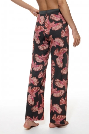 Flying Bird lange broek THUNDER GREY